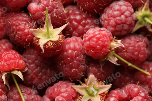 Preview: Many fresh ripe raspberries as background, top view