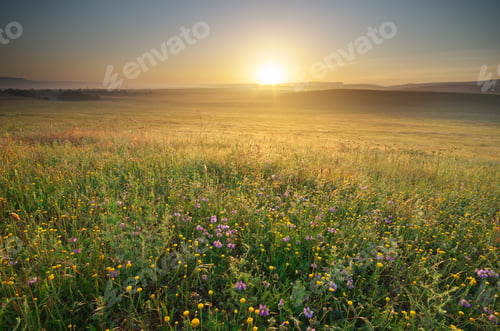 Preview: Morning nature landscape.