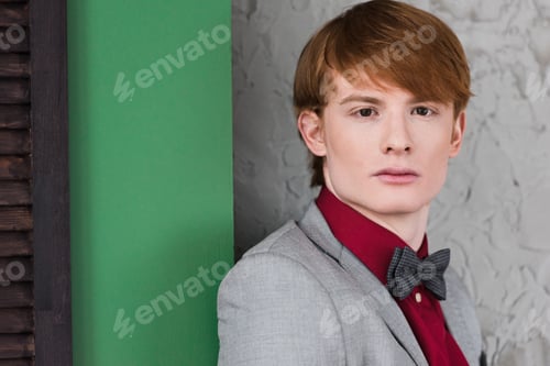 Preview: Male fashion model dressed in suit with bow tie