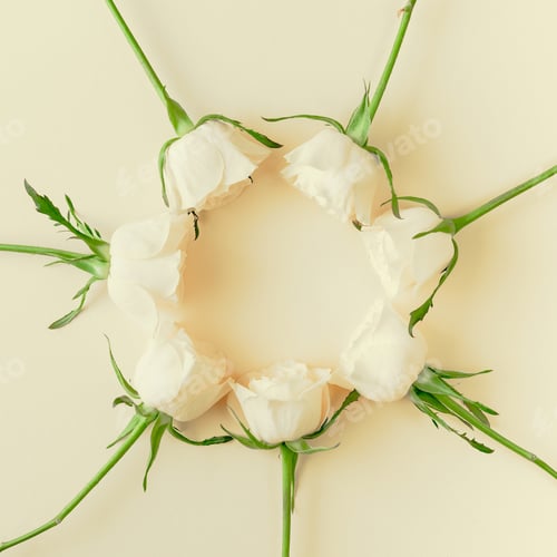 Preview: Fresh white roses composition