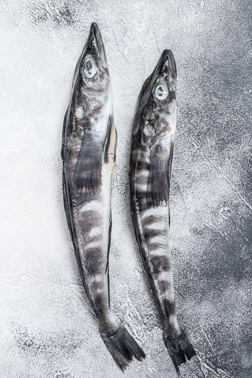 Preview: Raw icefish on a kitchen table. White background. Top view