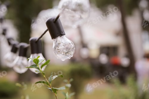 Preview: Bulbs Hanging In The Park And It'S Raining