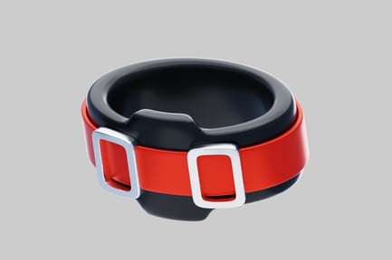 Preview: Circular object with red band and silver buckles
