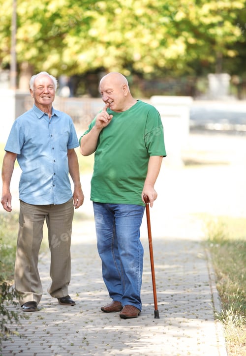 Preview: Elderly men spending time together in park