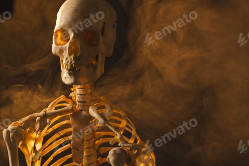 Preview: Plastic skeleton and smoke with copy space on black background