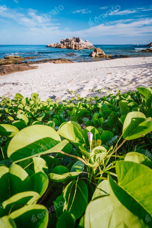 Preview: Grand L Anse, La Digue, Seychelles. Hidden beach with green foliage and unique huge granite rocks