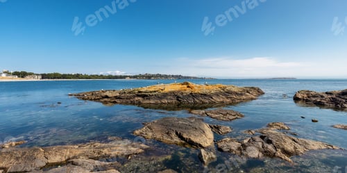 Preview: View of Rocky shore with birds at a modern city park, Clover Point