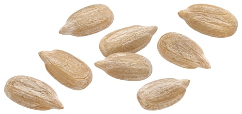 Preview: Falling peeled sunflower seeds isolated on white background
