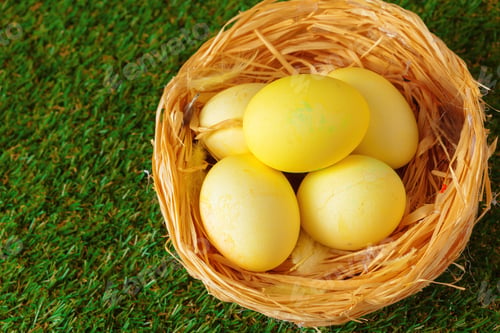 Preview: Easter eggs on green grass