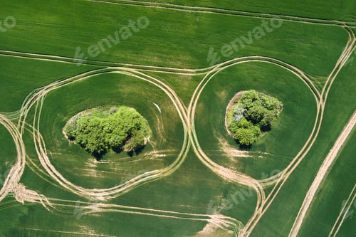 Preview: Aerial landscape of green farmland in summer season with growing crops.