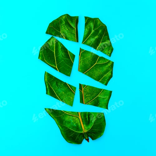 Preview: Half Leaf Fun Art. Green lover. Flat lay minimal