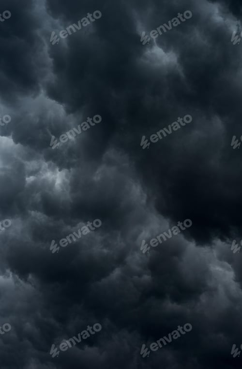 Preview: rain, raindrop, rainforest, raining