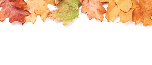 Visualização: Fundo de outono