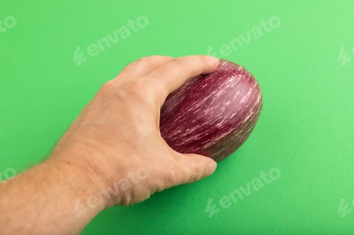 Preview: Hand holding Purple eggplant with white stripes on green pastel, Top view, copy space.