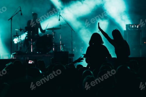 Preview: Two woman in the crowd at a music festival