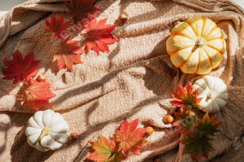 Preview: A hazelnuts, red maple leaves and mini pumpkins on a knitted blanket.