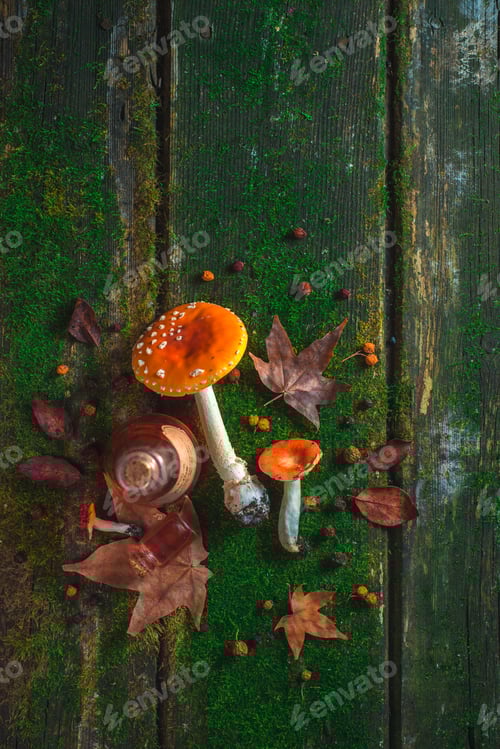 Preview: Mushrooms and Glass on Mossy Wood Planks