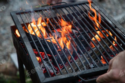 Preview: glamping or glamour camping with a dog