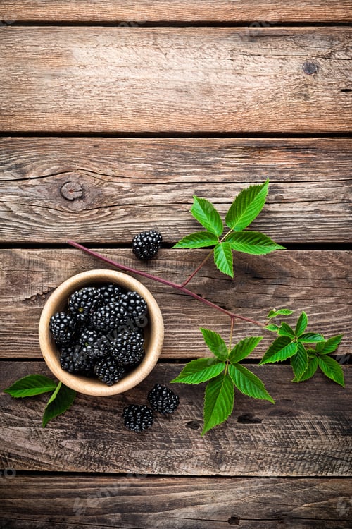 Preview: blackberry