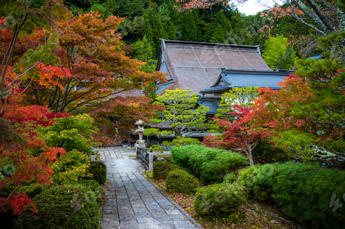 Preview: Japanese temple amidst vibrant autumn foliage