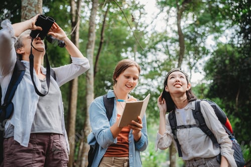 Preview: woman family or friends group trekking travel in adventure lifestyle, nature hiking in vacation