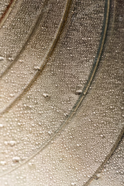 Preview: Colorful, Rainbow, Abstract Background. Water Drops. Condensate. Texture Of Glass. Parallel Lines