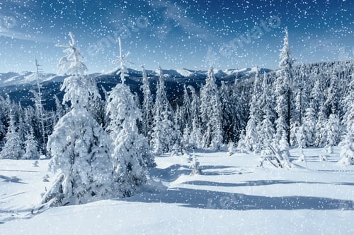 Preview: Fantastic winter landscape and tree in hoarfrost. In anticipatio