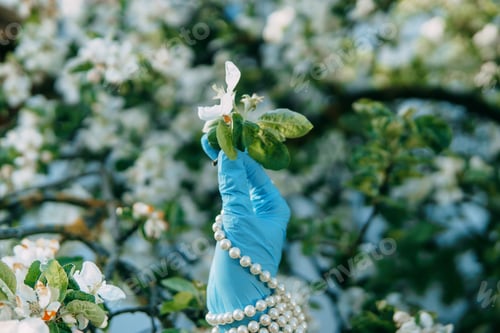 Preview: Women's hands in medical gloves and a pearl bracelet. Fashion 2020. Fashion during the pandemic.