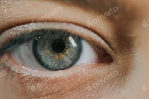 Preview: Closeup shot of a person's eye