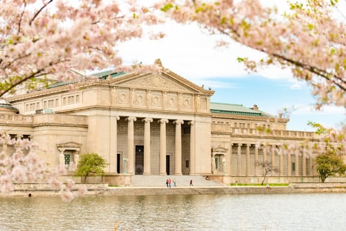 Preview: Beautiful Museum of Science and Industry captured through the blossomed trees in Chicago, USA