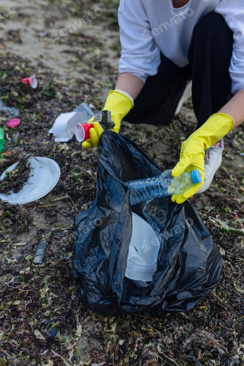 Preview: Volunteer collecting plastic waste during beach cleanup,