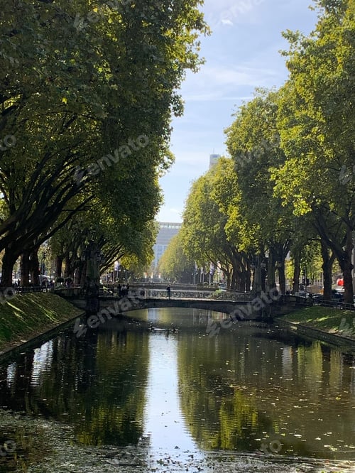 Preview: Beautiful park with a small bridge over a mirror lake and the reflection of surrounding trees in it