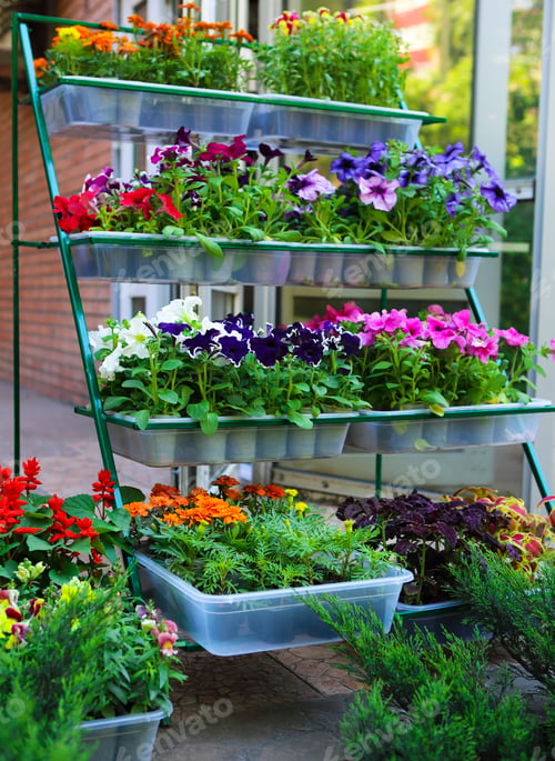 Preview: Colorful flowers on market