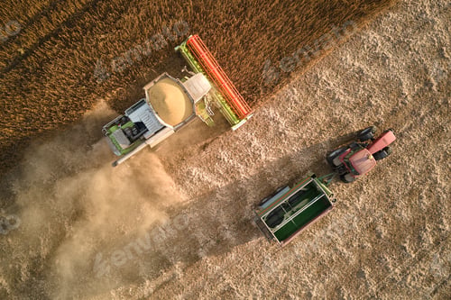 Preview: Aerial view of combine harvester and cargo trailer working during harvesting season