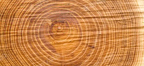 Preview: wood texture