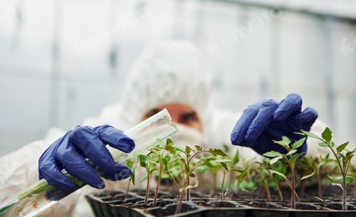 Preview: Young worker in full white protective uniform watering plants by using test tube