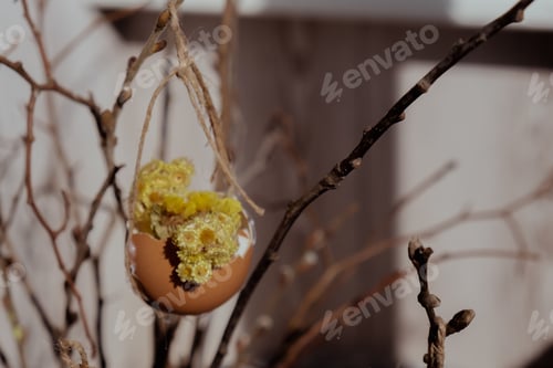 Preview: Creative handmade Easter holiday decoration from egg shell. Diy do it yourself step by step