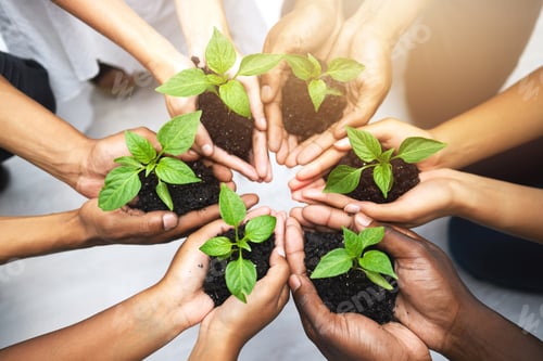 Preview: Cropped shot of a group of unrecognizable people holding plants growing out of soil