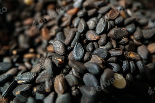 Preview: Pile of black seeds macro shot background