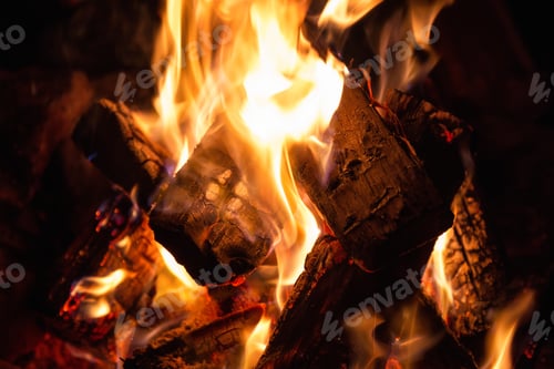 Preview: Burning camp fire wood