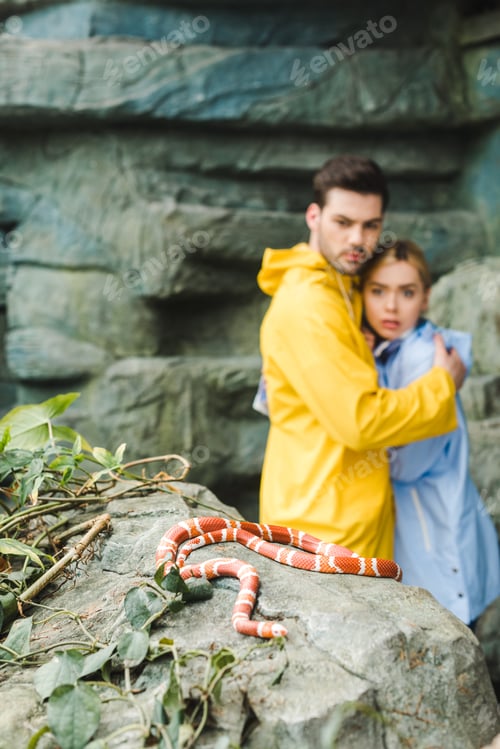 Preview: young couple in raincoats terrified of snake lying on rock