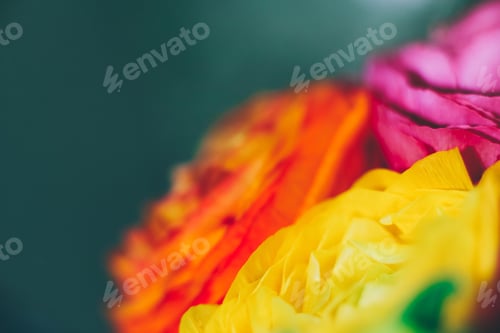 Preview: flower