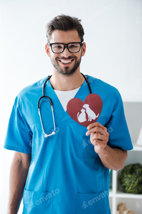 Preview: handsome veterinarian smiling at camera while presenting paper cut heart with dog and cat symbols