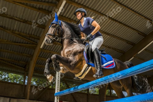Preview: Young woman on horse crossing obstacle on course