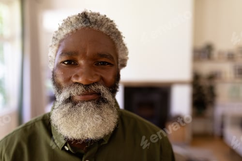 Preview: Portrait of senior mixed race man standing in a living room