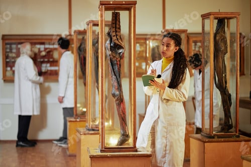 Preview: Young Adult Woman Observing Anatomical Specimens in Medical Museum