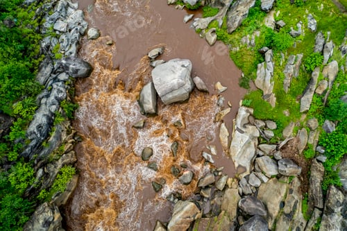 Preview: Aerial view of forest River, India.