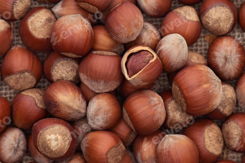 Preview: Unpeeled hazelnuts on a jute fabric close-up.