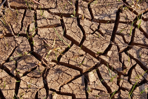 Preview: top view cracked dry ground abstract background