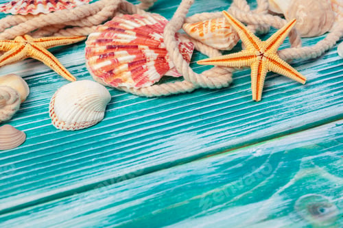 Preview: Different sea shells on color wooden background